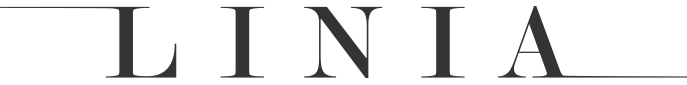 Magazyn Linia logo